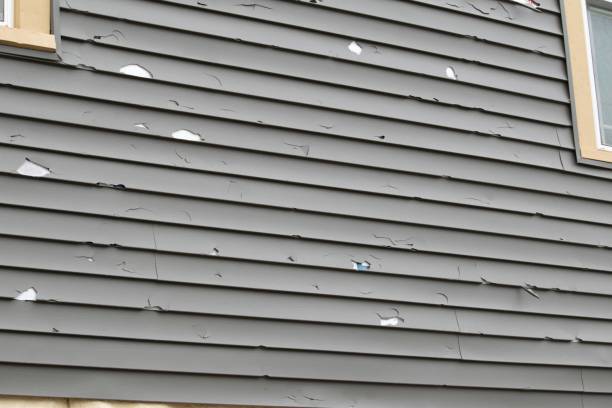 Best Vinyl Siding Installation  in Jensen Beach, FL